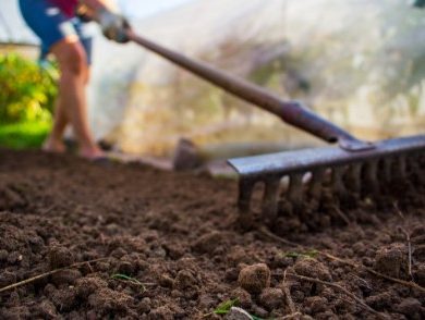 The Foundation of a Thriving Garden Importance of Soil Preparation