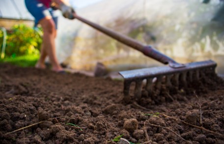 The Foundation of a Thriving Garden Importance of Soil Preparation
