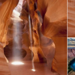 Discovering the Magic of Antelope Canyon: A Tour from Las Vegas