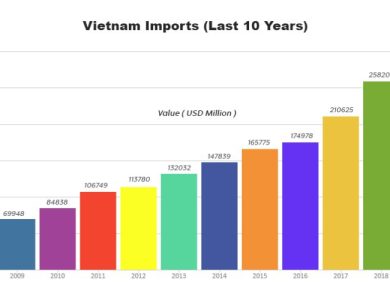 Vietnam Import and Export Data Analysis