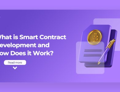 Smart Contract Development