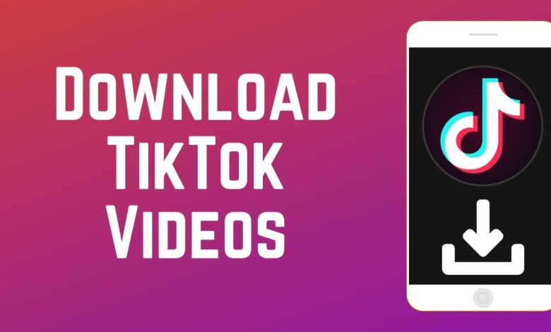 tiktok video downloader