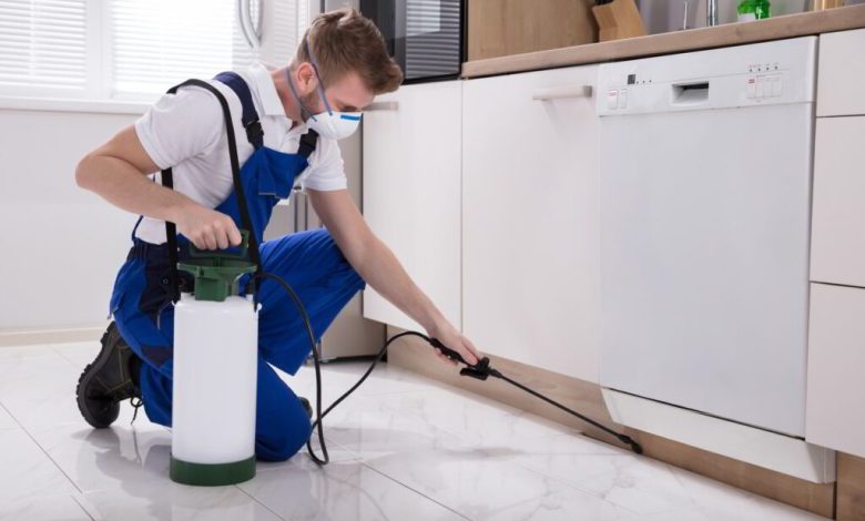 Pest Control 101: Finding the Right Exterminator in Schenectady, NY