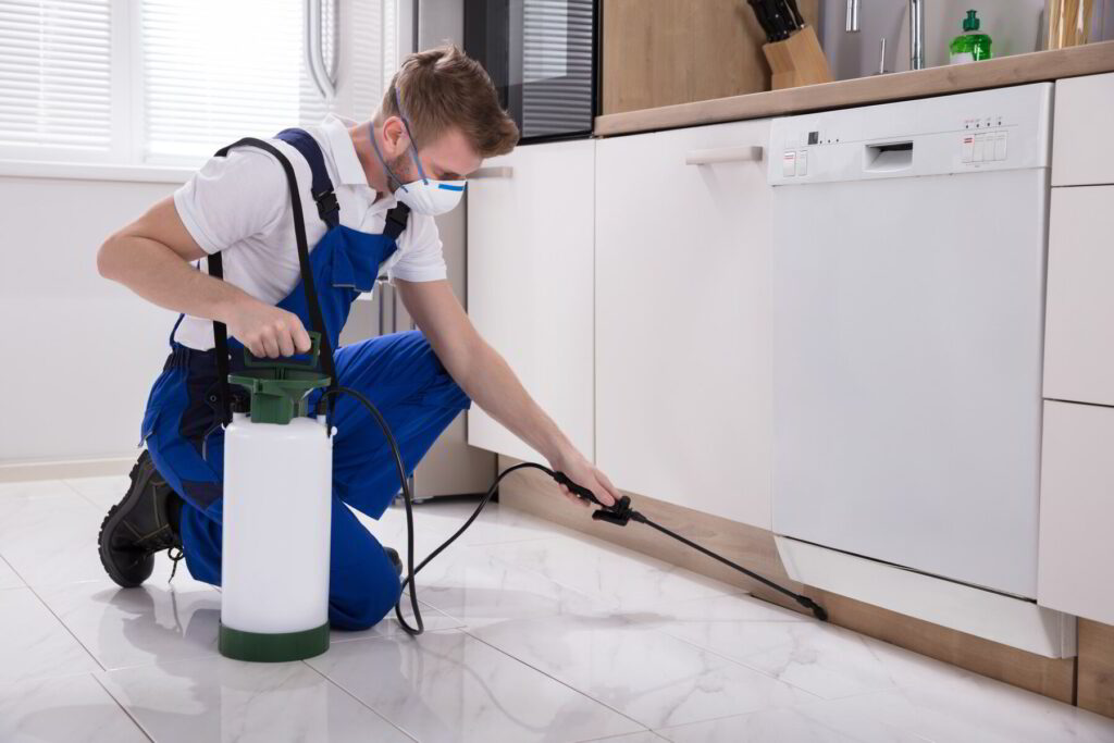 Pest Control 101: Finding the Right Exterminator in Schenectady, NY